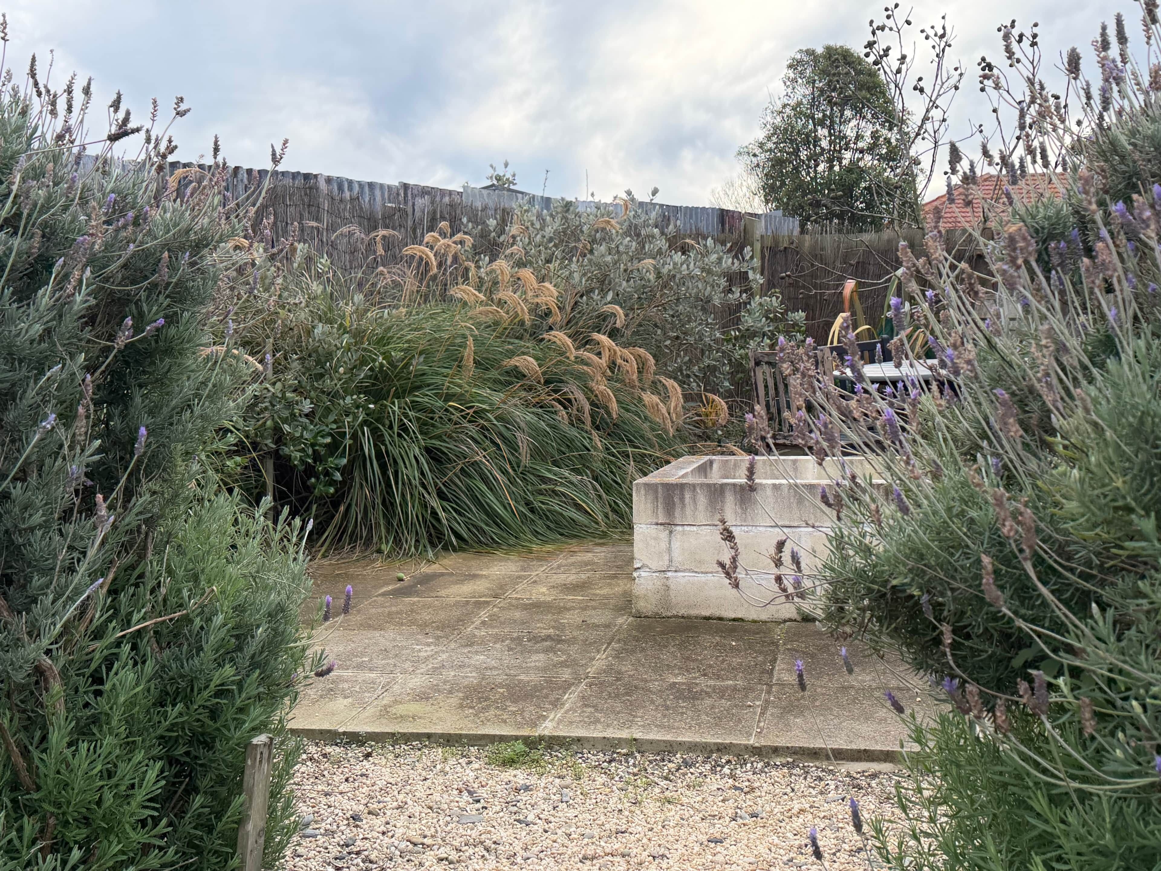 Un jardin avec différentes espèces de plantes et une structure en béton.