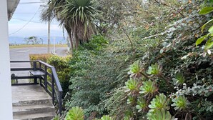 A staircase leading up to a building with a railing, surrounded by dense greenery and a palm tree.