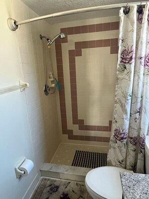 Hair dryer, towels, soap, toilet paper - Beautiful 2-bedroom house with in convenient Spring Hill (Spring Hill)