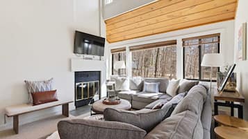 TV, fireplace, offices
