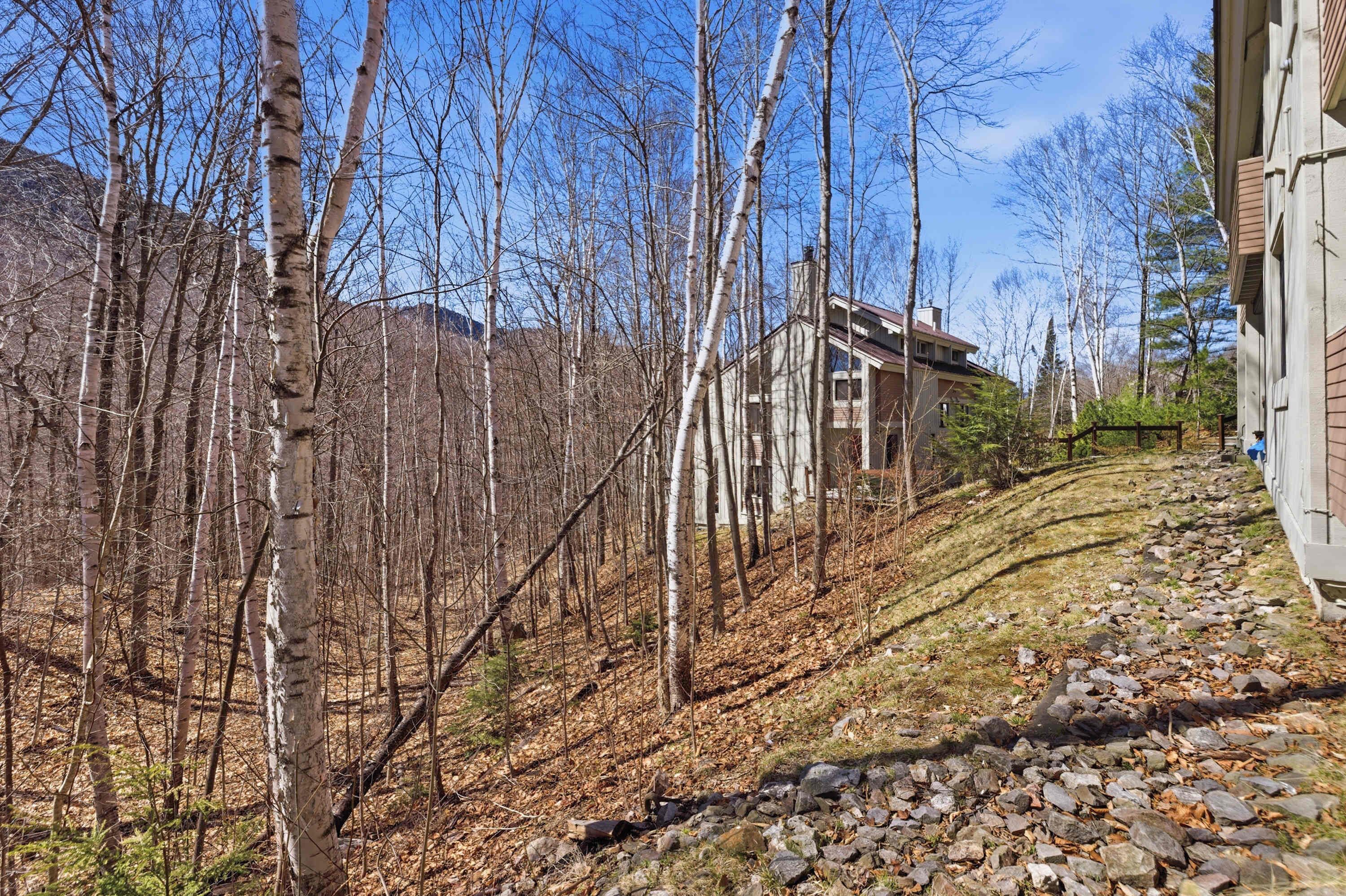 Skovområde med en bygning på en skråning, omgivet af tr æer og en klar himmel.