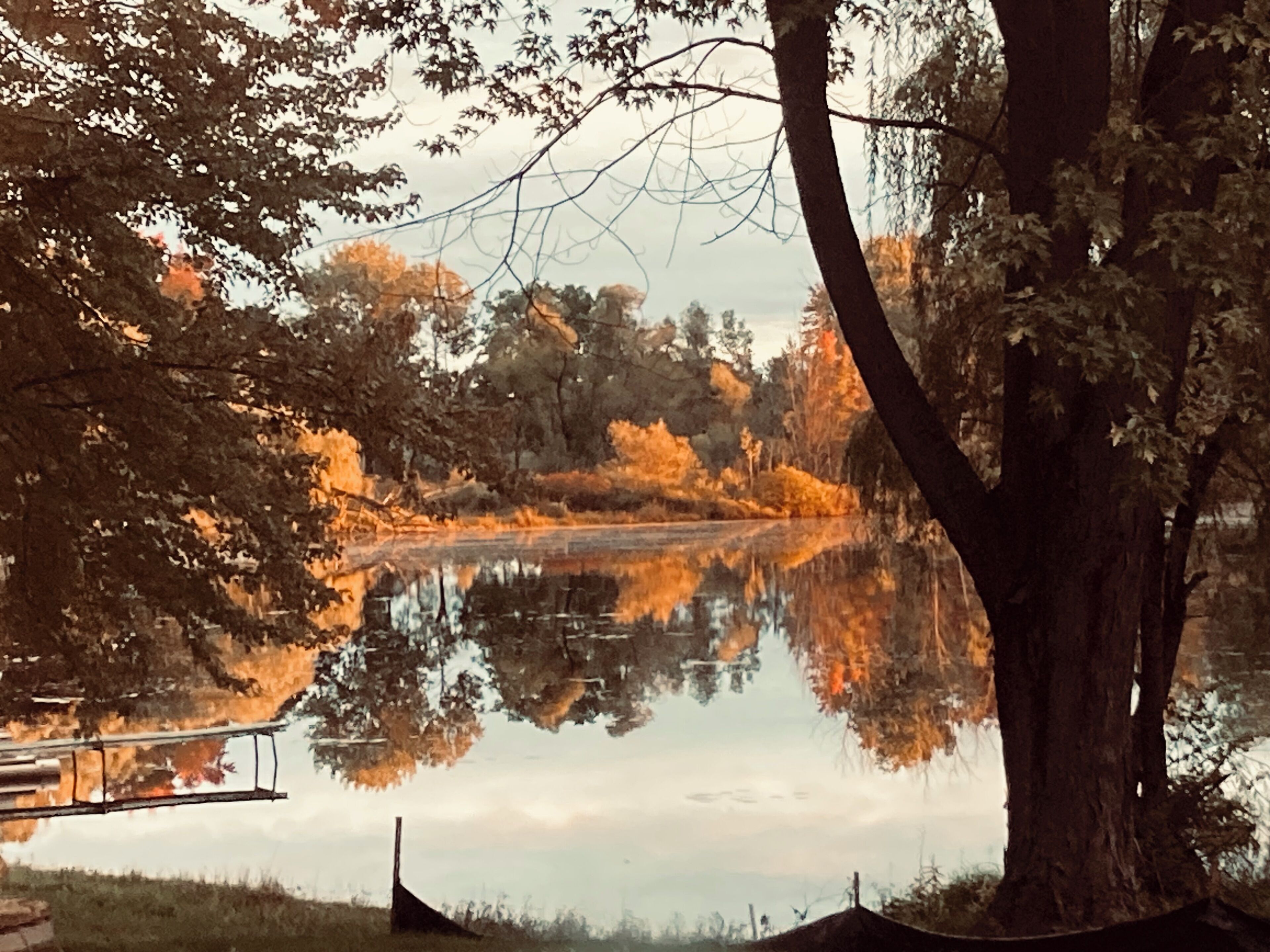 A serene lakeside scene with trees reflecting on the water, a dock, and a large tree in the foreground.