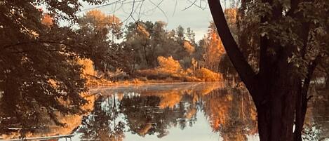 A serene lakeside scene with trees reflecting on the water, a dock, and a large tree in the foreground.