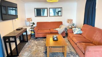 Smart TV, fireplace, DVD player, books