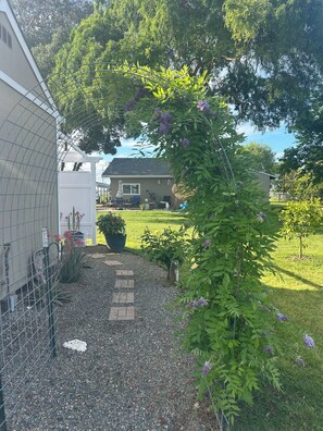 Property grounds - Fabulous studio in Elverta. Farm fresh eggs, & fresh vegetables from the garden. (Elverta)