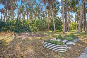 A garden with tall trees and metal planters with plants. - 2-bedroom house with acreage in tranquil Aripeka-Spring Hill area with AC (Spring Hill)