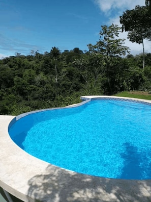 Outdoor pool - Casa Arabella- Ocean, Jungle views, Wildlife, Pool, Beach Club, AC.... 5 Star! (Uvita)