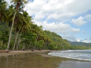 A beach with palm trees and a view of the ocean. - Casa Arabella- Ocean, Jungle views, Wildlife, Pool, Beach Club, AC.... 5 Star! (Uvita)