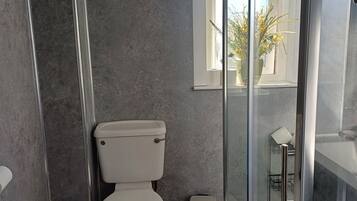 Shower, towels, toilet paper