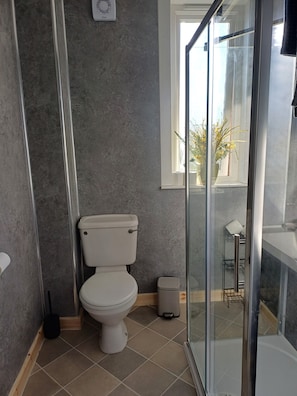 Shower, towels, toilet paper