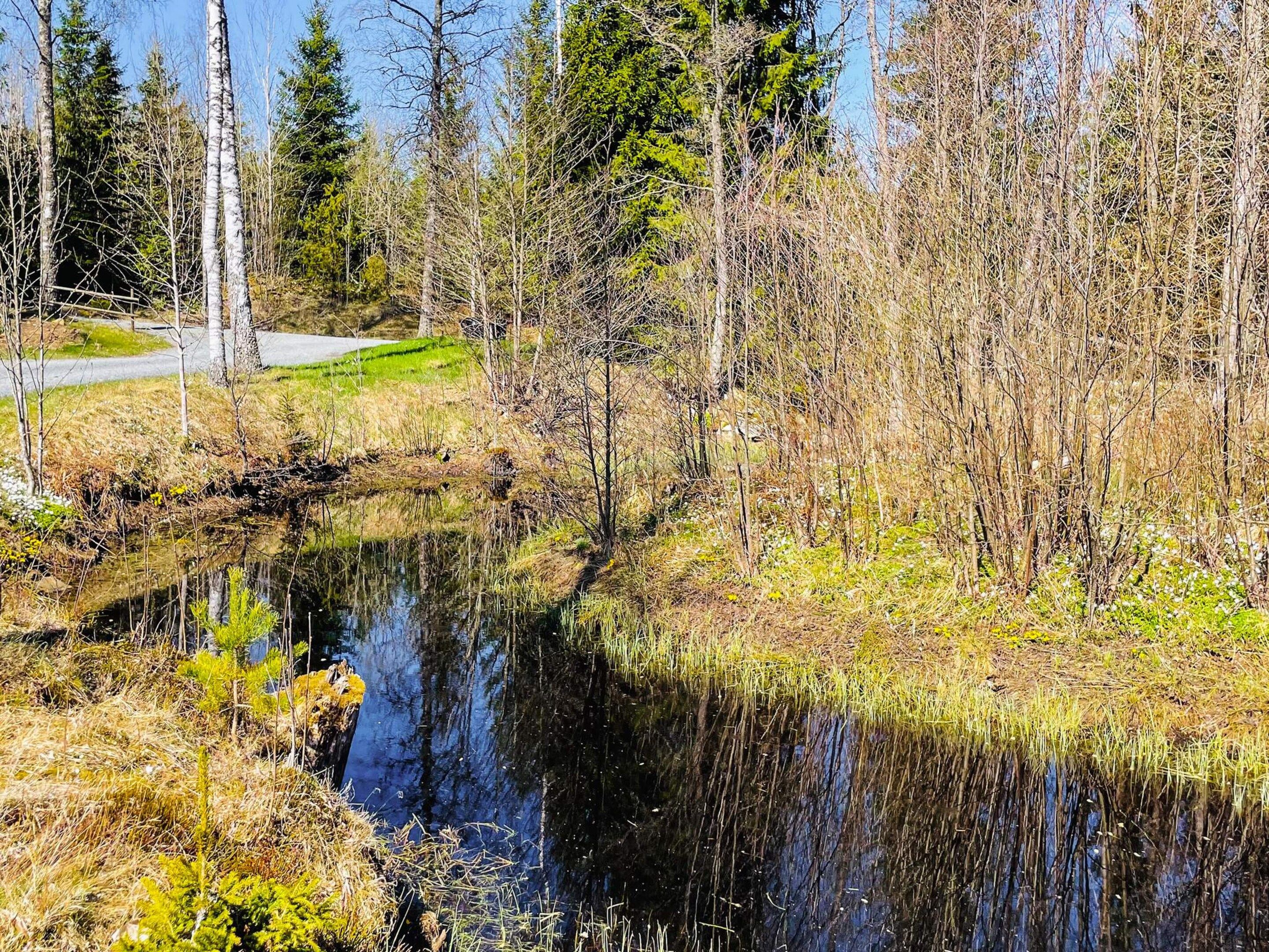 A serene landscape with a clear water body, surrounded by trees and a road.