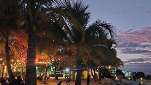 A beach setting with palm trees, lounge chairs, and a building with lights in the background. - Cozy 1-bedroom condo with AC in welcoming Punta Cana (Punta Cana)