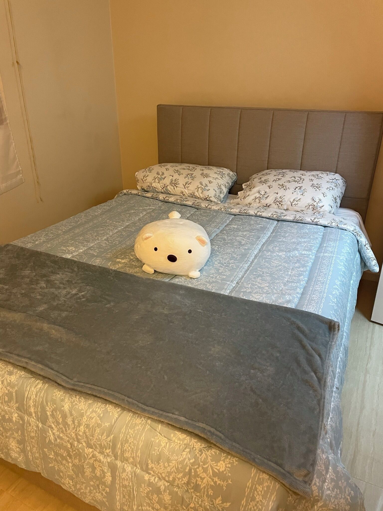 Iron/ironing board, Internet, bed sheets