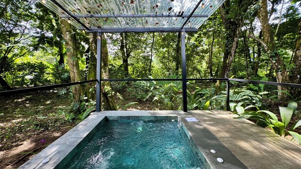 Uma piscina retangular com água cristalina, rodeada por vegetação exuberante e uma estrutura de pérgola de metal.