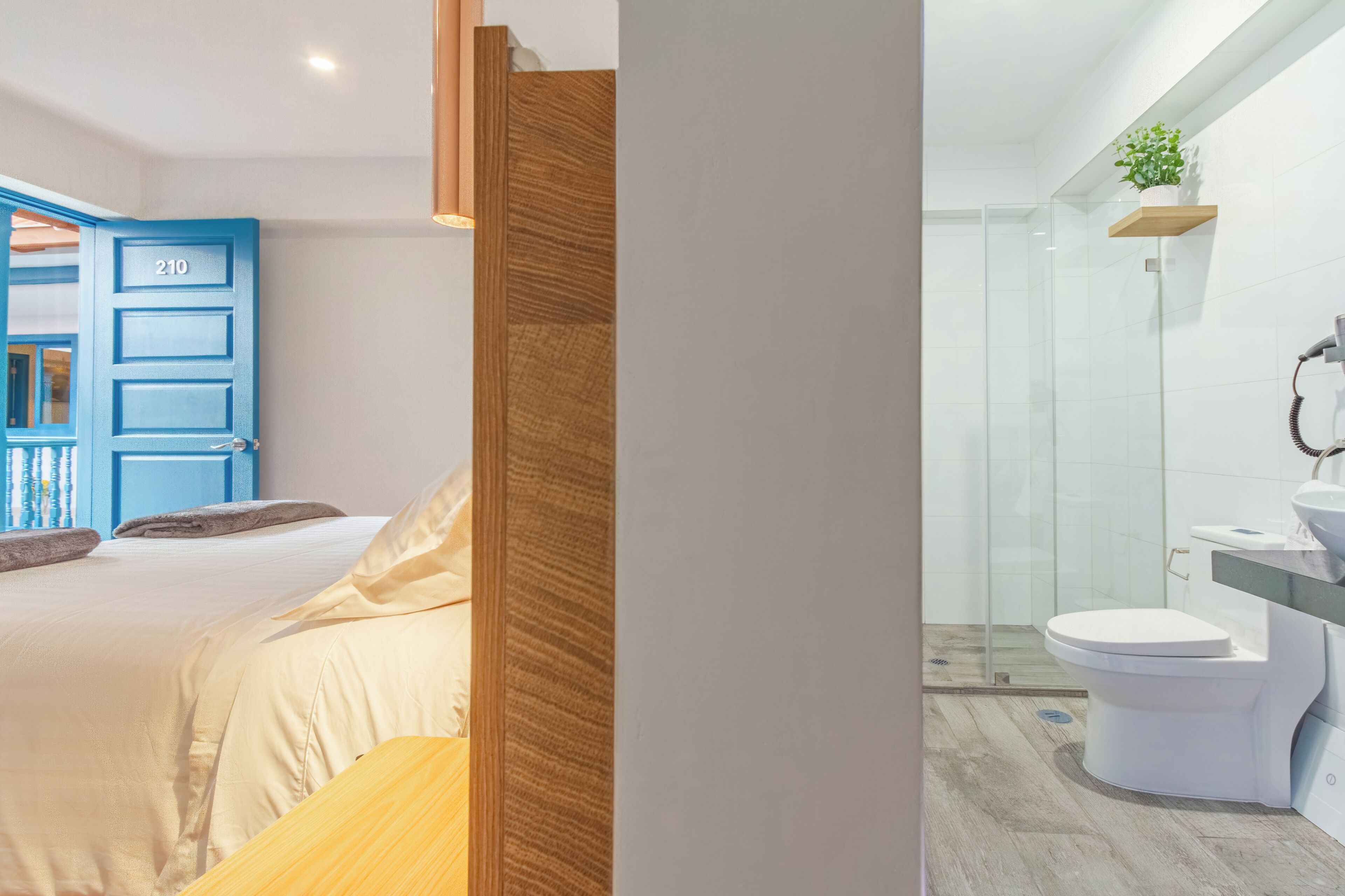 Una habitación de hotel moderna con una cama, una puerta azul con el número 210, una zona de ducha y un baño con lavabo e inodoro.