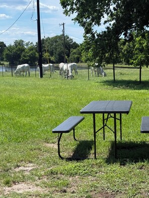Outdoor dining - Hidden Anchor Retreat -Quiet Glamping Escape Near Lake Somerville TX (Burton)
