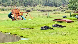 A grassy field with a playground structure, a small pond, and some wooden logs.