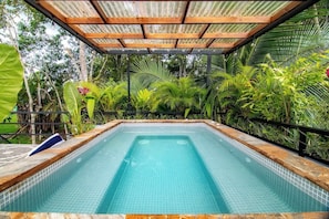 Ein rechteckiger Pool mit gefliesten Rändern, umgeben von üppiger tropischer Vegetation und einer hölzernen Pergola darüber.