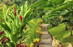 Property grounds - Volcano View Oasis Arenal 2BR (San Ramón)
