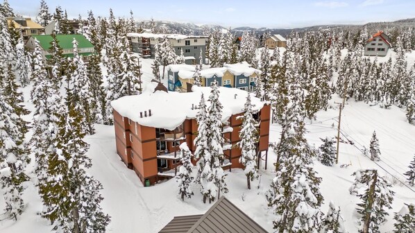 Un edificio de varios pisos rodeado de árboles cubiertos de nieve, probablemente un hotel o resort.