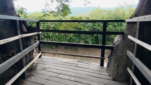 Un escalier en bois mène à une zone abritée d’où l’on peut admirer la verdure et les collines.