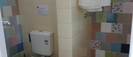 A bathroom with a toilet, a shower, and a tiled wall.
