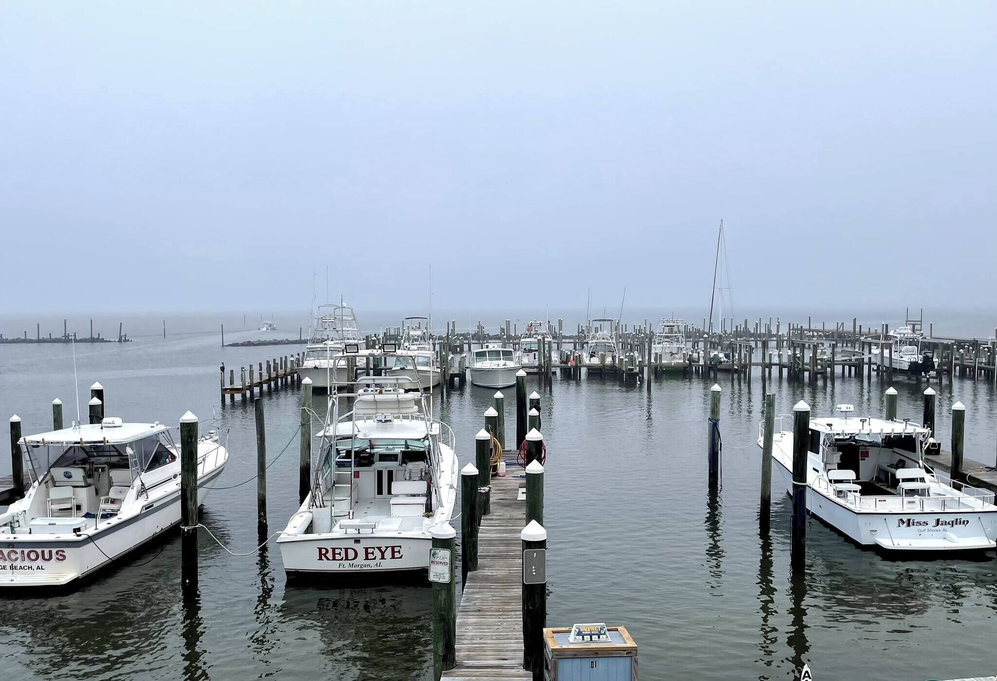 House, 3 Bedrooms, Balcony | Marina