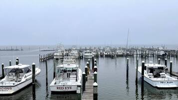 House, 3 Bedrooms, Balcony | Marina