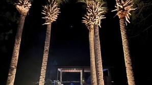 Ảnh chưa phân loại, 2 trong số 164 ảnh, nút