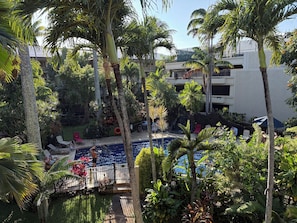 Pool - Restful, beautiful one-bedroom ocean view condo in Sunny Poipu (Koloa)