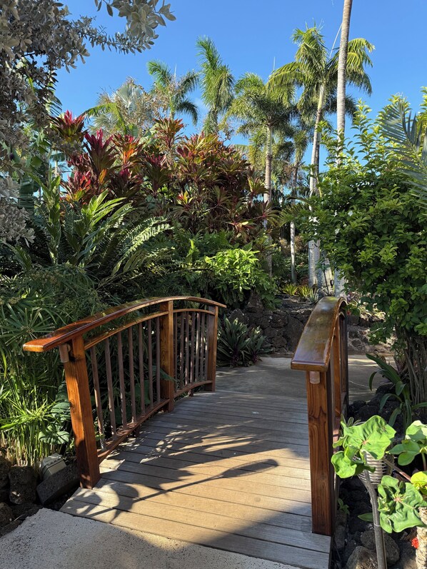 Property grounds - Restful, beautiful one-bedroom ocean view condo in Sunny Poipu (Koloa)
