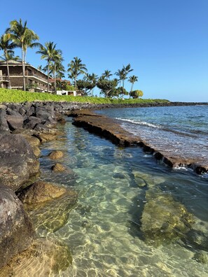 Beach - Restful, beautiful one-bedroom ocean view condo in Sunny Poipu (Koloa)