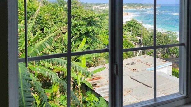 A window with a view of a coastal landscape, including greenery and the ocean.