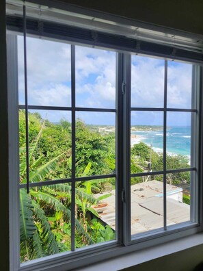 A window with a view of a coastal landscape, including greenery and the ocean.