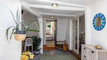 A hallway with a patterned floor, a hanging plant, a wall-mounted mirror, and a wooden chest of drawers.