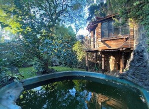 Pool - Coyoacán Luxurious Home & Garden (Ciudad de México)