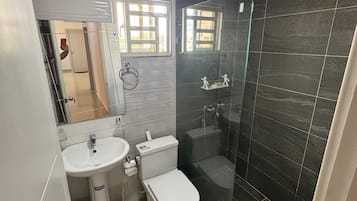 Hair dryer, bidet, towels, soap