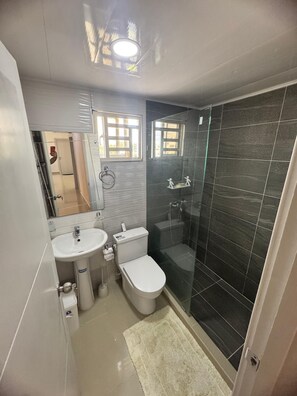 Hårtørrer, bidet, håndklæder, Sæbe