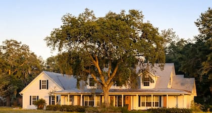 Escape to Our 7bed room Modern Farmhouse Retreat in Wesley Chapel