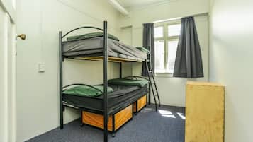 Economy Single Room | Iron/ironing board, free WiFi, bed sheets