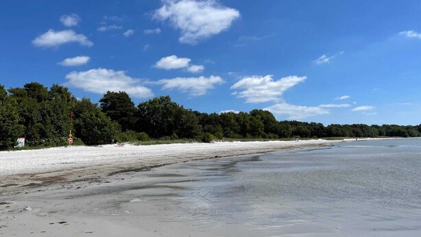 A beach with a clear sky, sandy shore, and dense trees in the background. - 4 Star Holiday Home in Solvesborg (Sölvesborg)