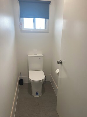 Shower, towels, toilet paper