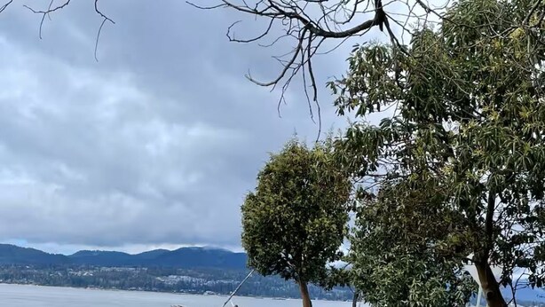 A park with a concrete path, picnic tables, and a bench overlooking a body of water.
