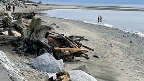 A beach with large rocks and driftwood along the shore.