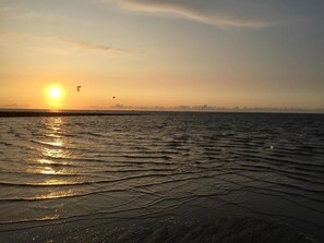 在海灘附近
