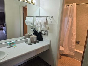Dusche, Haartrockner, Handtücher, Shampoo