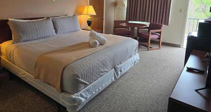 Eagle Motel Room 225
