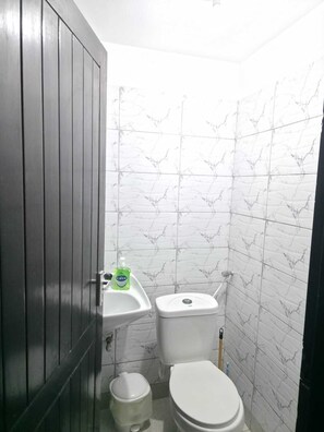 Secadora de cabello, toallas, jabón, papel de baño 