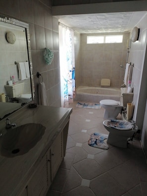 Une salle de bain avec un grand miroir, un lavabo, des toilettes et une baignoire.