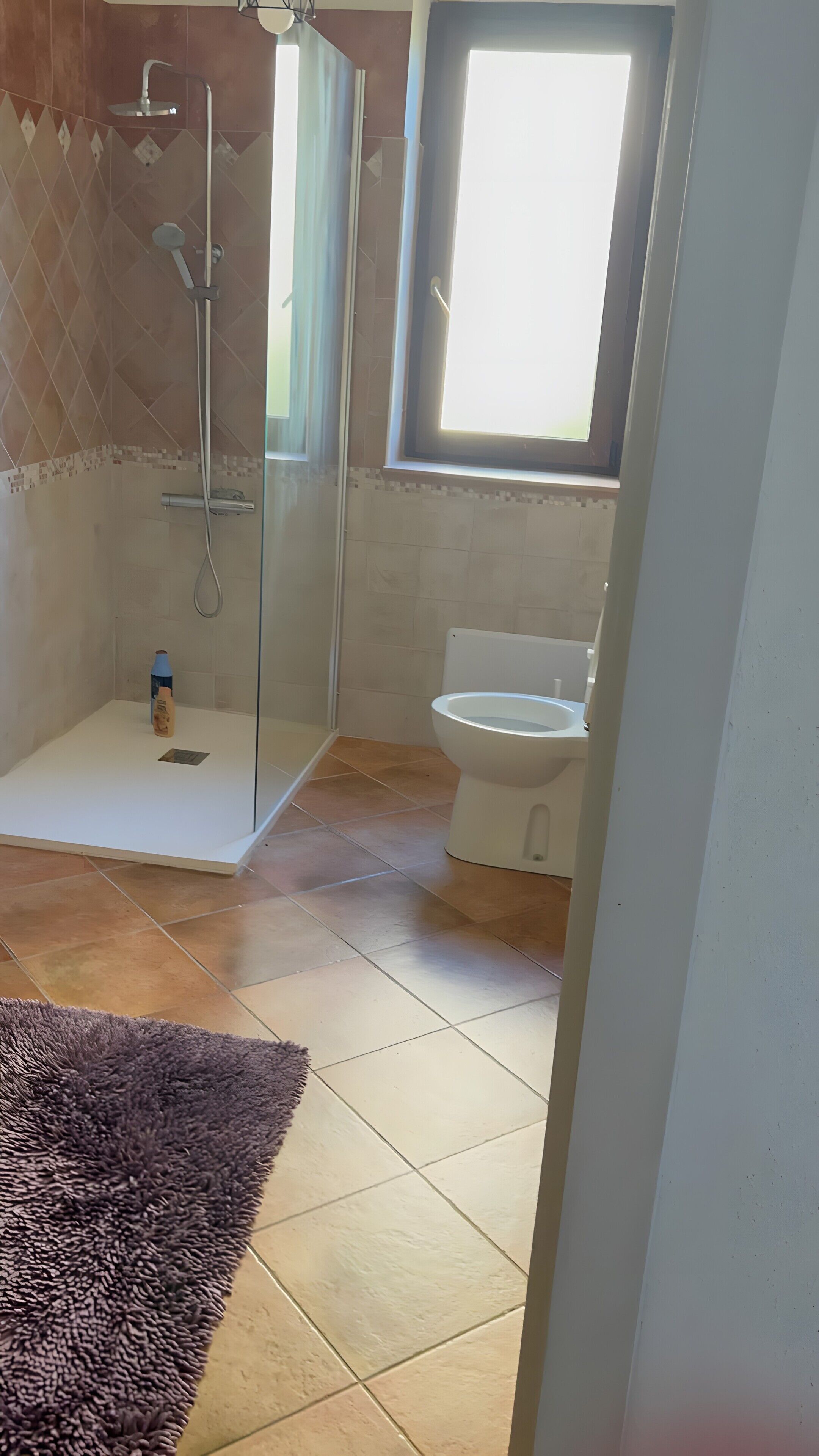 Ducha, secador de pelo, toallas